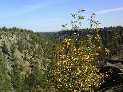 032 Oregon Umalo SP Near Bend.jpg